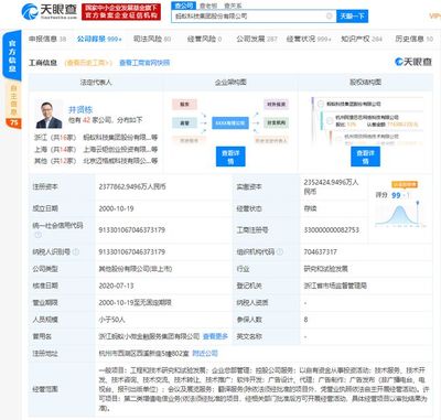 螞蟻集團上市在即，金融信息技術外包助推全球最大規模IPO